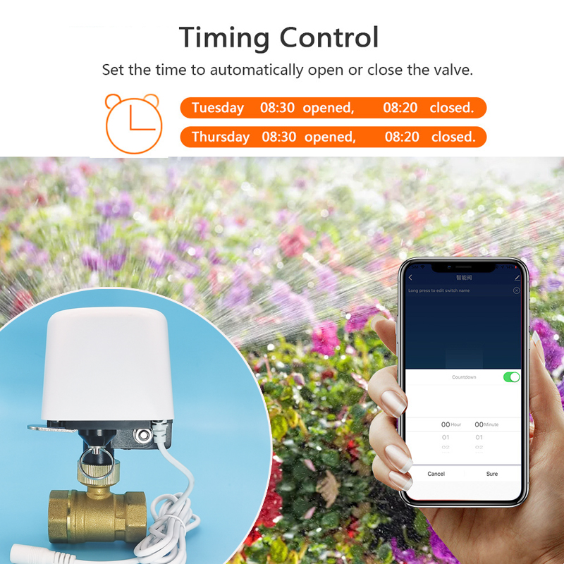 1/2インチ 3/4インチ 1インチ DN32 Tuya Z - Home Security App のレビューと価格