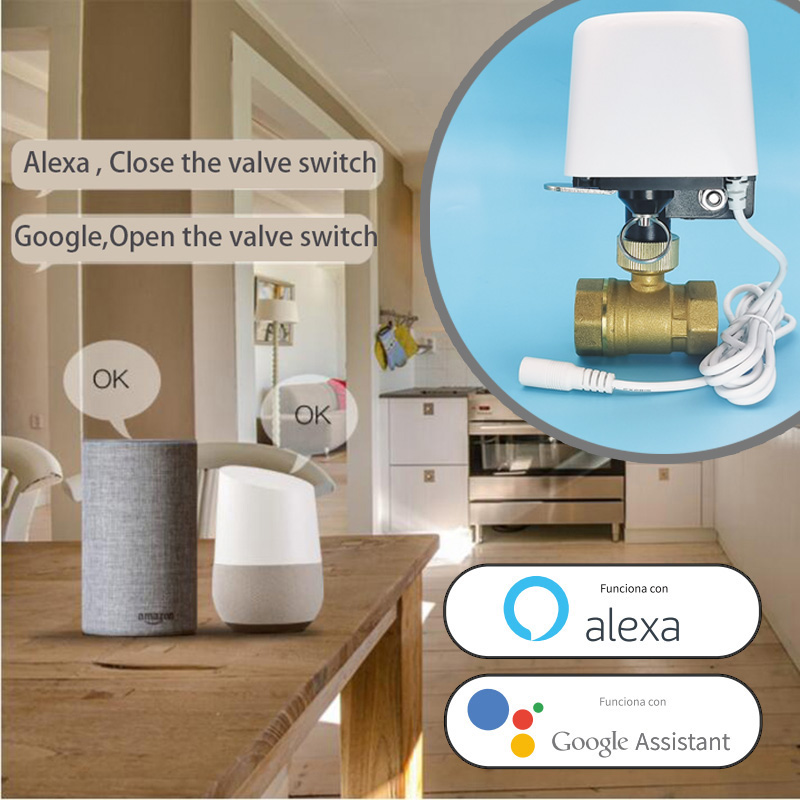 1/2インチ 3/4インチ 1インチ DN32 Tuya Z - Home Security App のレビューと価格